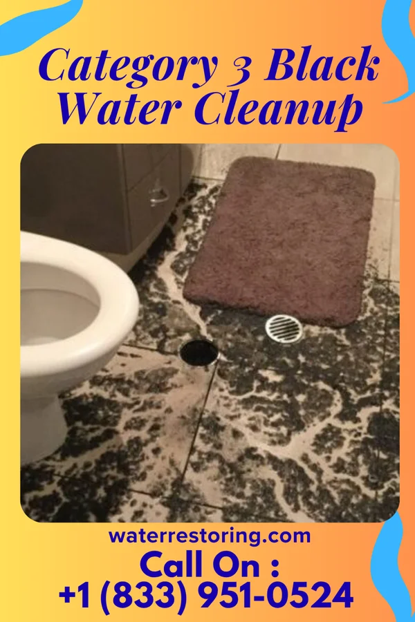 Category 3 Black Water Cleanup in Richville, OH