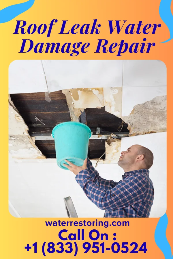 Roof Leak Water Damage Repair in Richville, OH